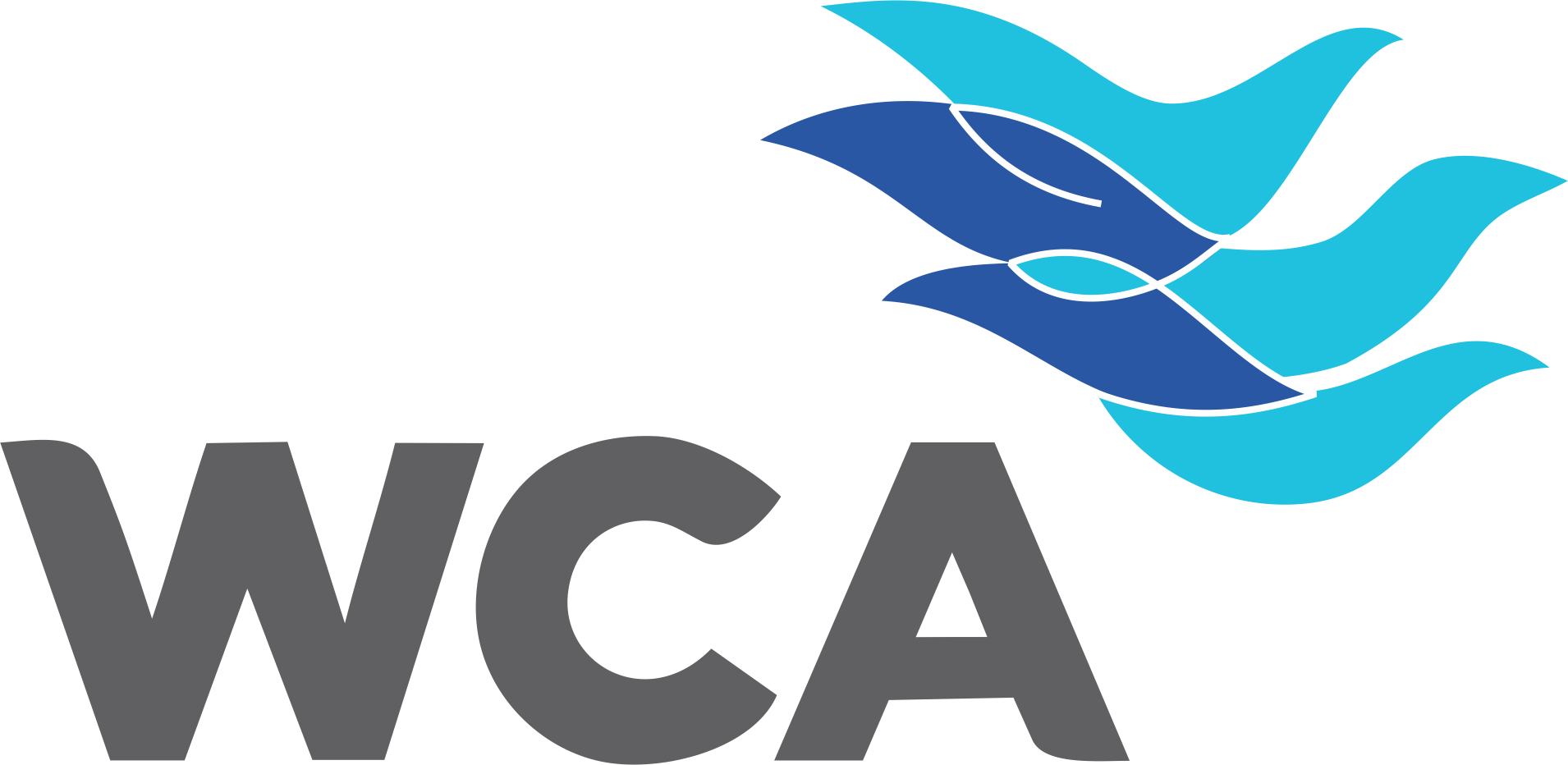 WCA member